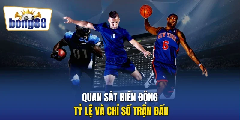 Quan sát biến động tỷ lệ và chỉ số trận đấu