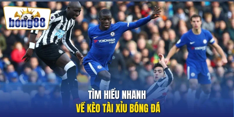 Tìm hiểu nhanh về kèo tài xỉu bóng đá